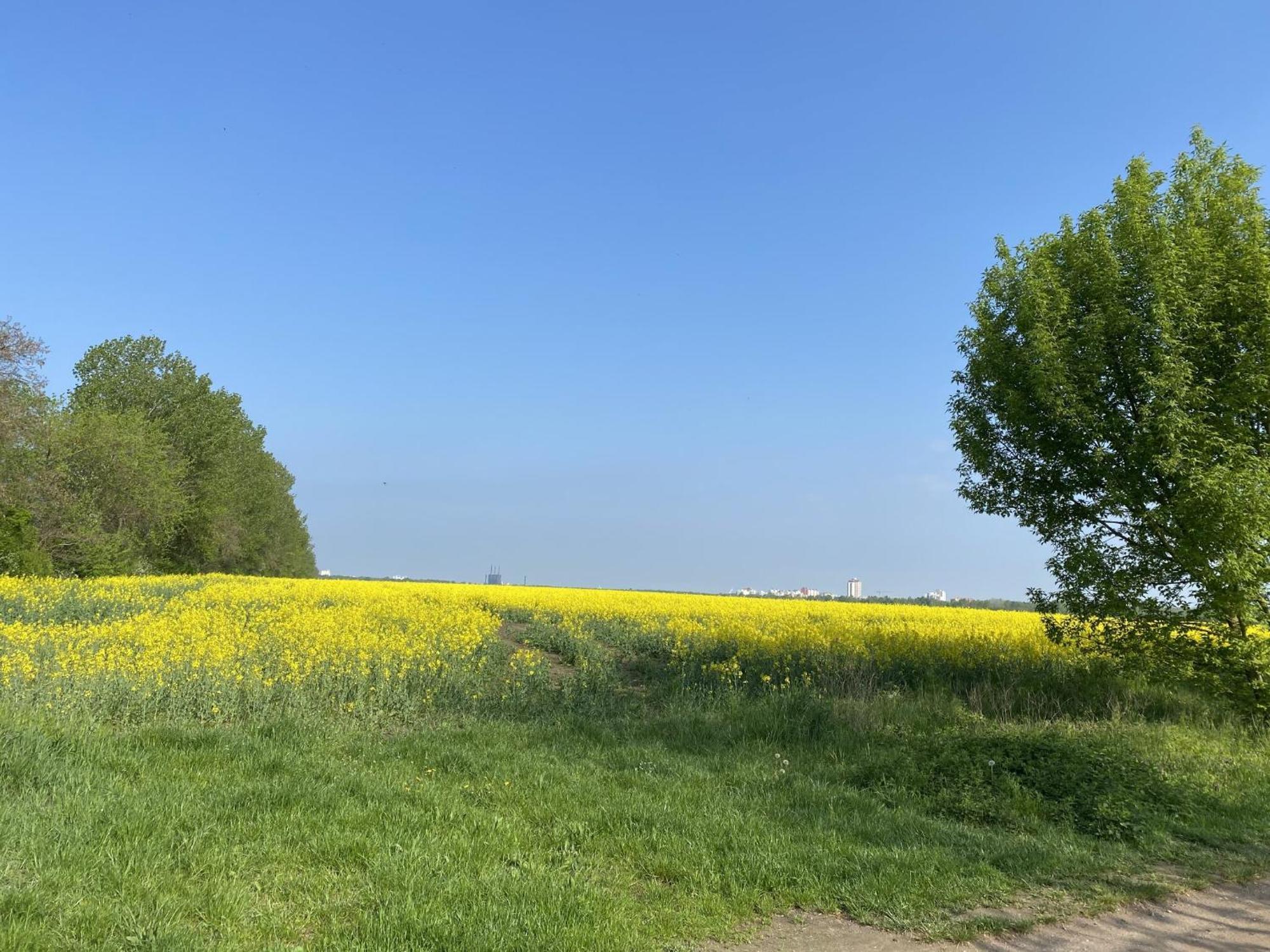 Ferien Am Berliner Mauerweg * Berlino