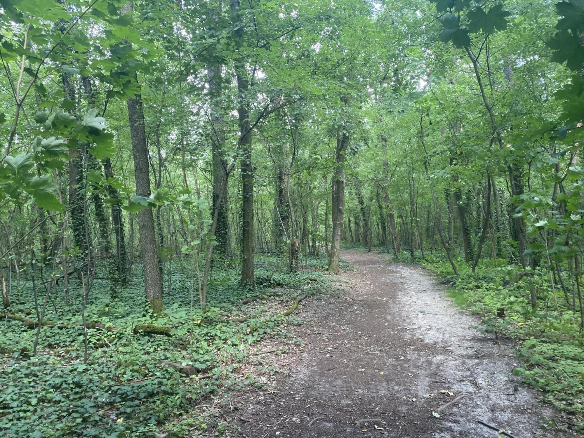 Ferien Am Berliner Mauerweg * Berlino